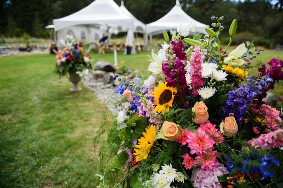Event canopies